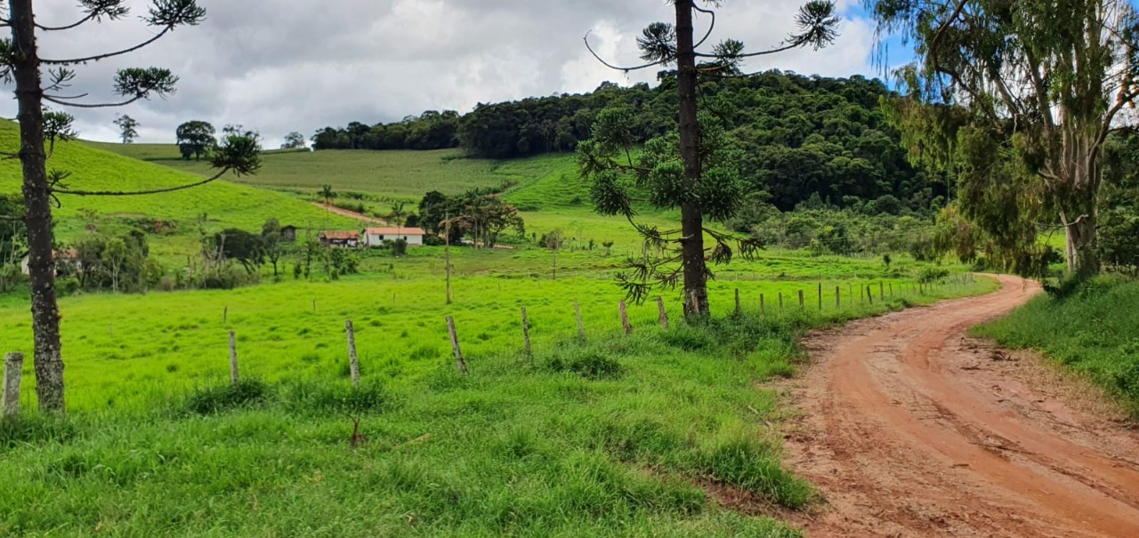 Chácara à venda com 4 quartos, 1650000m² - Foto 21