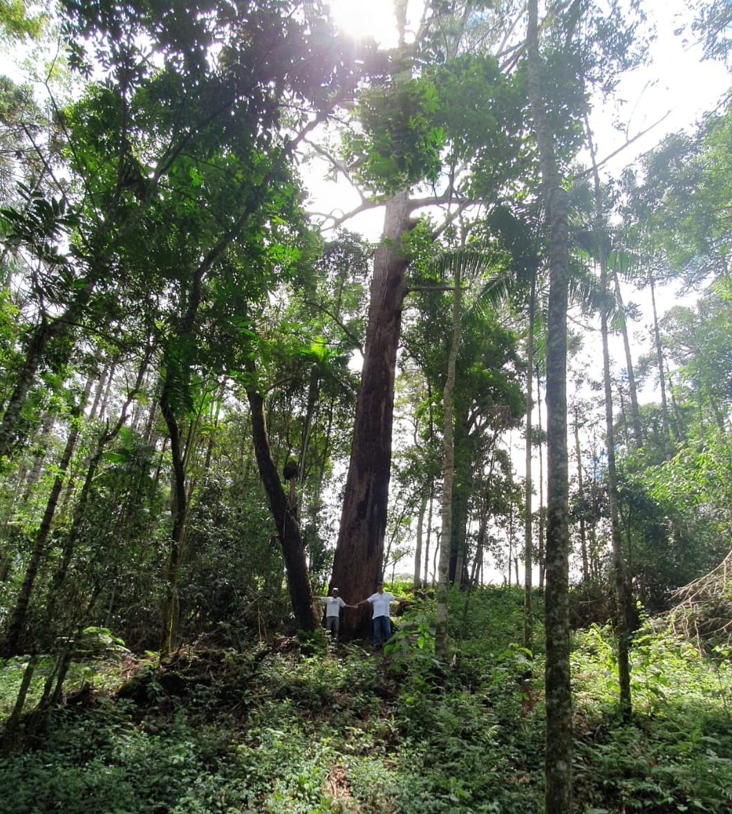 Chácara à venda com 4 quartos, 1650000m² - Foto 19