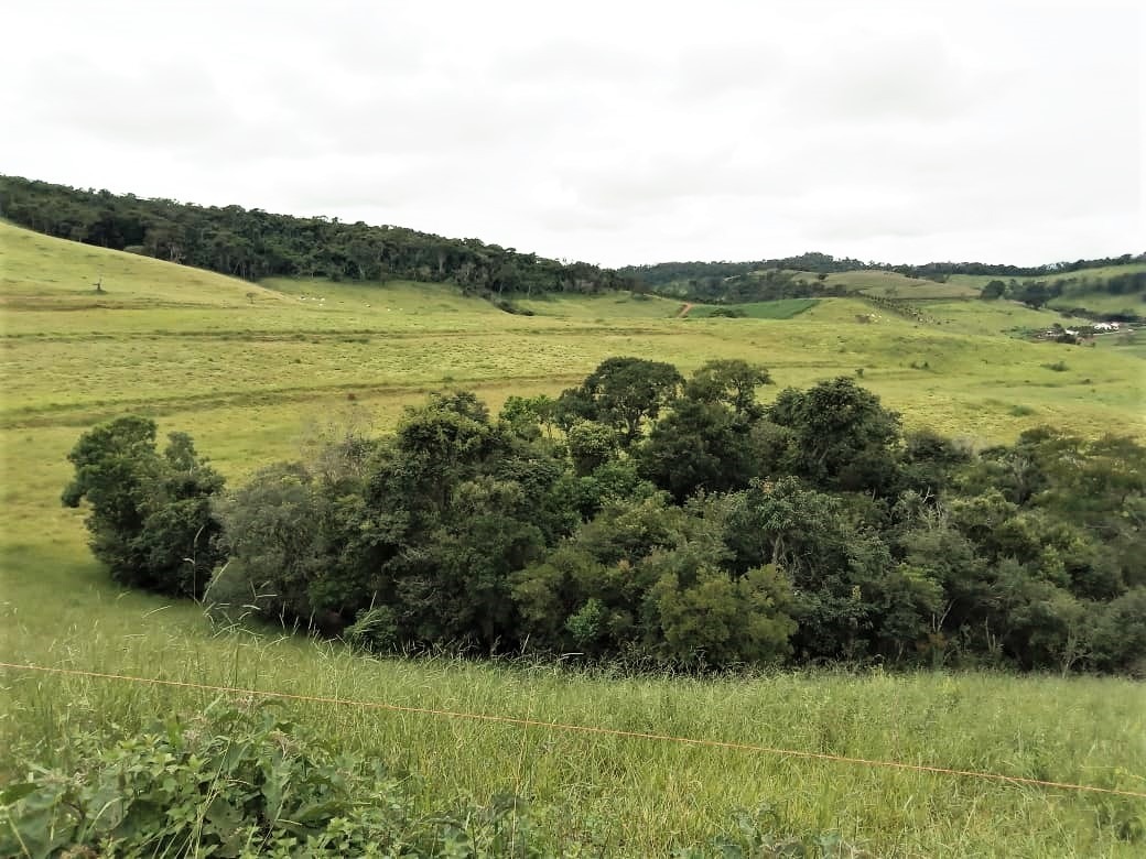 Chácara à venda com 2 quartos, 1308000m² - Foto 1