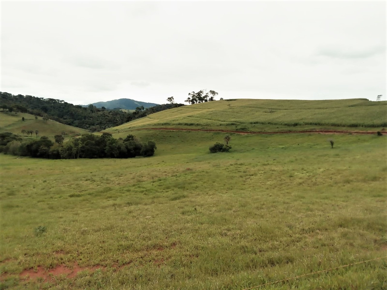 Chácara à venda com 2 quartos, 1308000m² - Foto 9