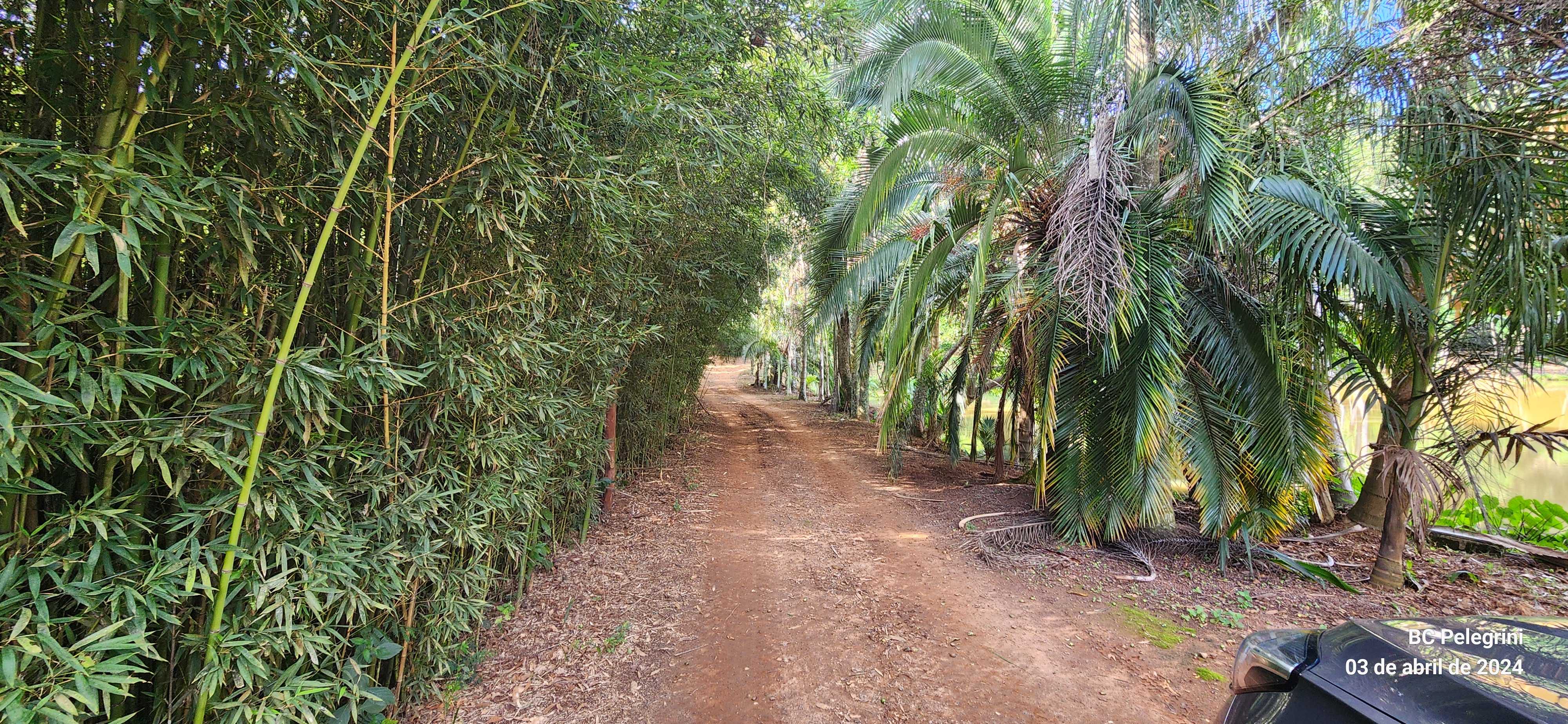 Chácara à venda com 3 quartos, 680000m² - Foto 13