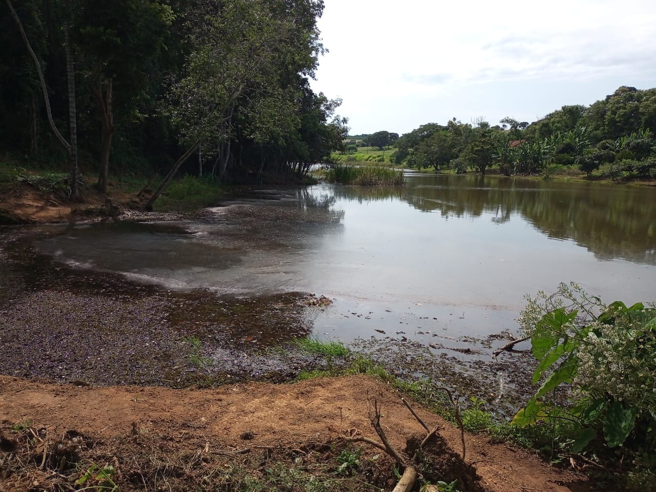 Chácara à venda com 3 quartos, 680000m² - Foto 8