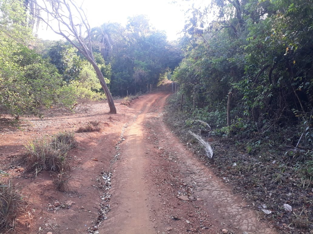 Terreno à venda - Foto 12