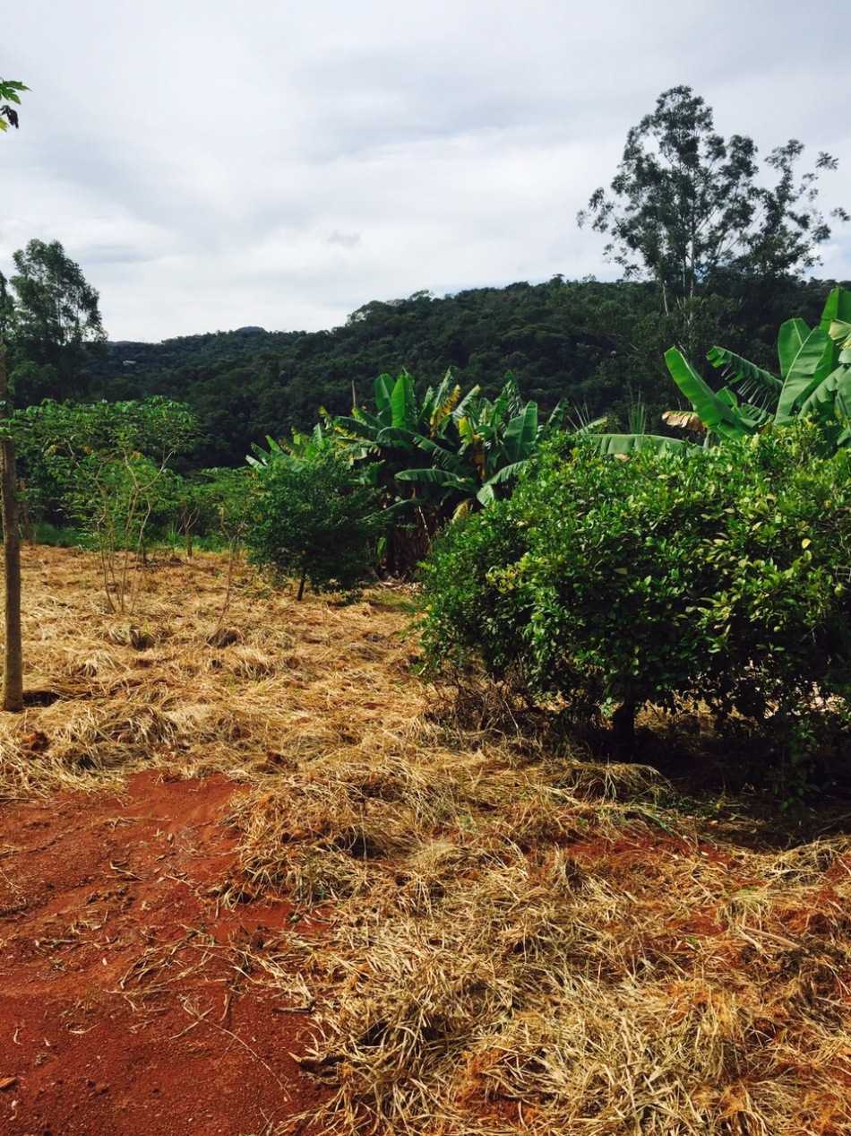 Terreno à venda, 420m² - Foto 4