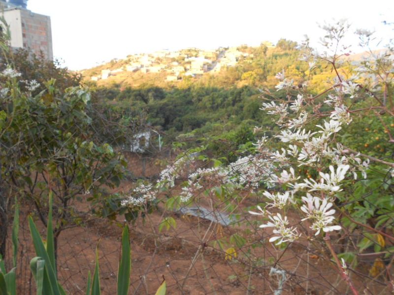 Terreno à venda, 400m² - Foto 10