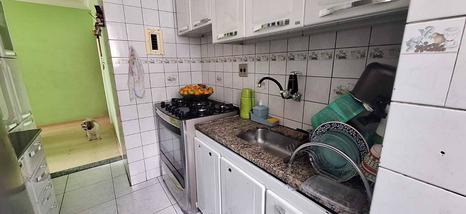 Apartamento à venda com 3 quartos, 75m² - Foto 7