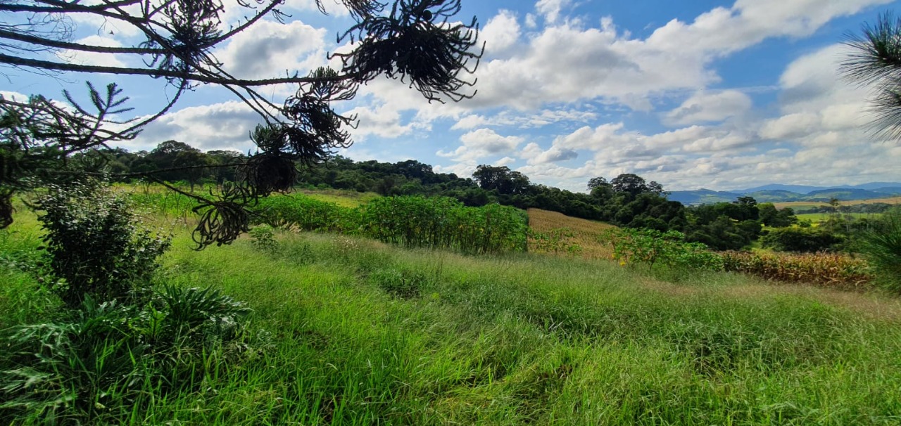 Terreno à venda, 400000m² - Foto 4