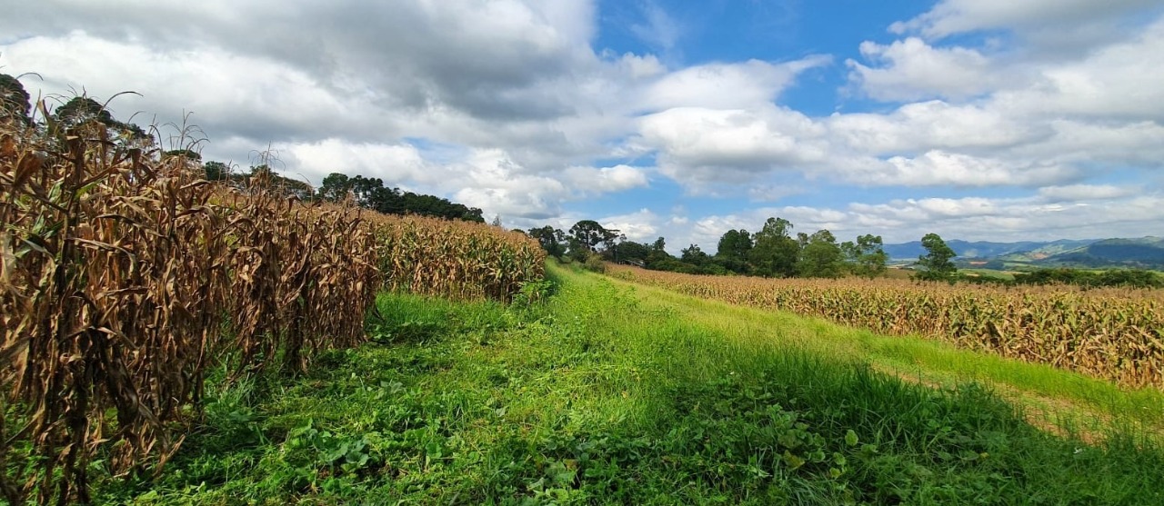 Terreno à venda, 400000m² - Foto 5