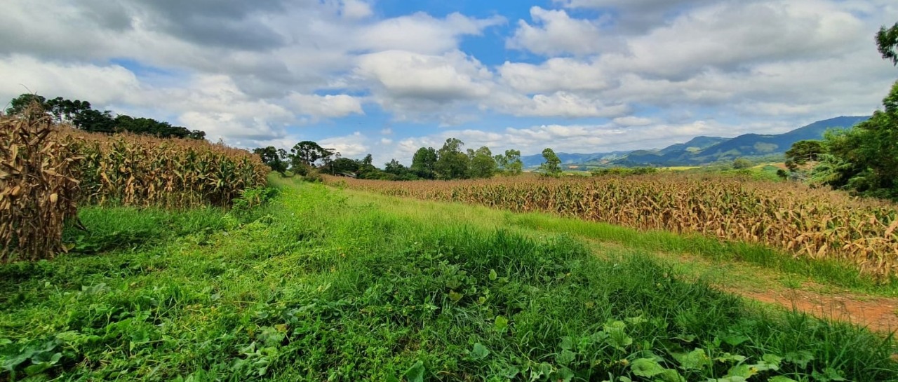 Terreno à venda, 400000m² - Foto 7