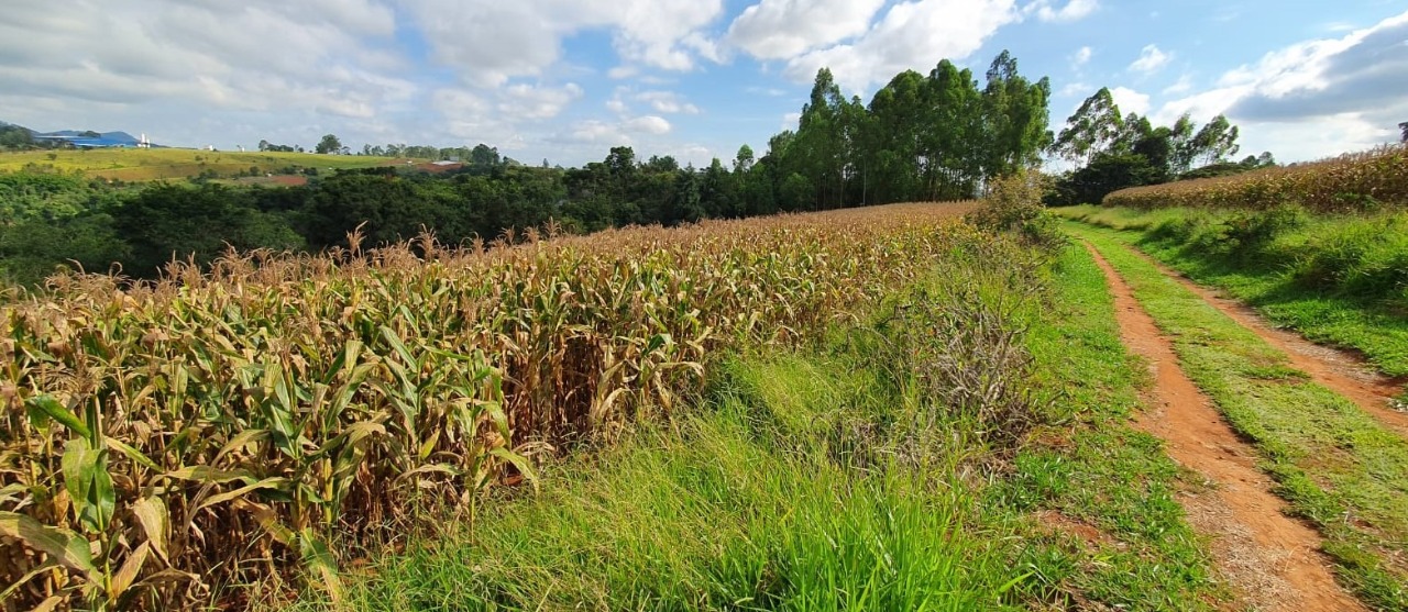 Terreno à venda, 400000m² - Foto 10