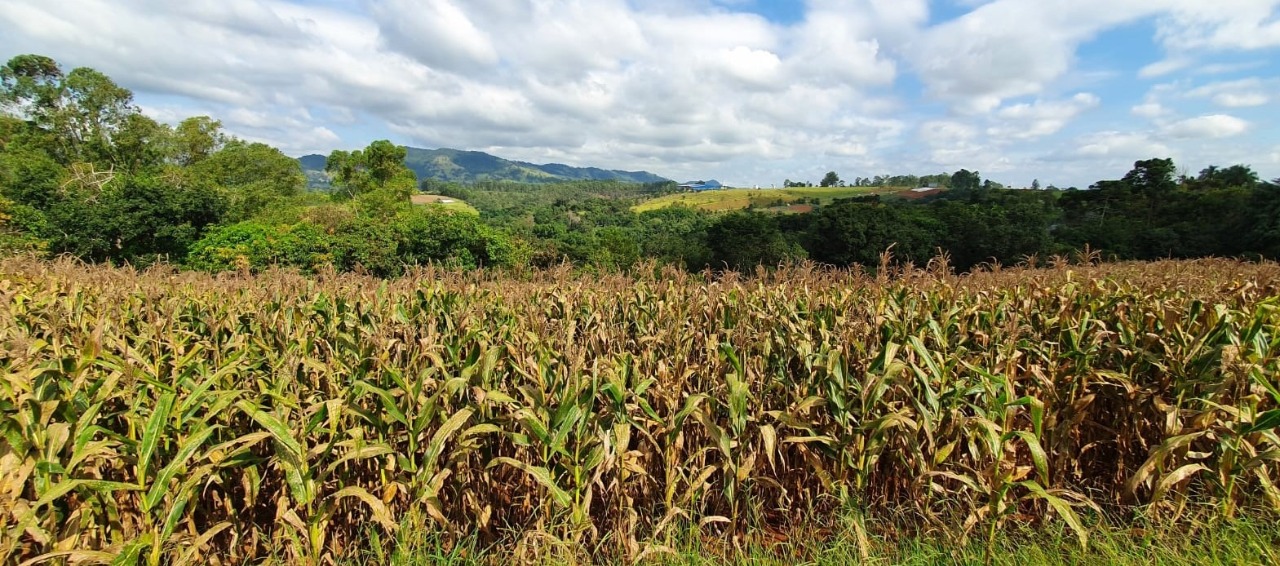 Terreno à venda, 400000m² - Foto 11