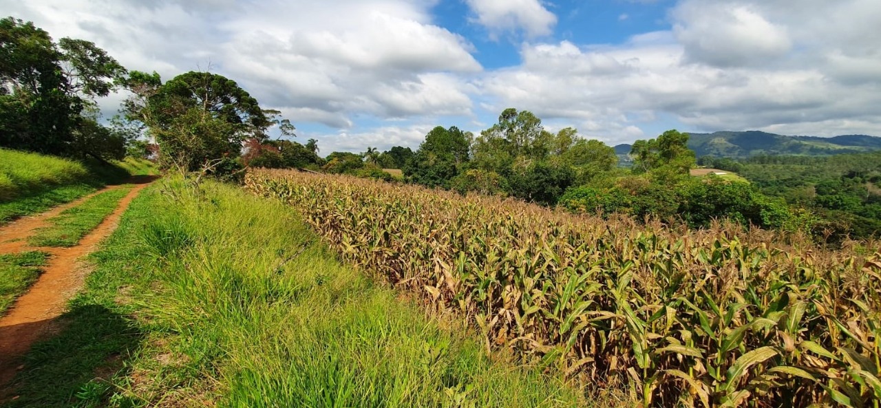 Terreno à venda, 400000m² - Foto 12