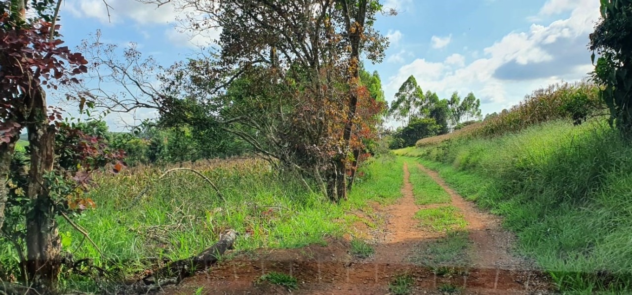 Terreno à venda, 400000m² - Foto 13