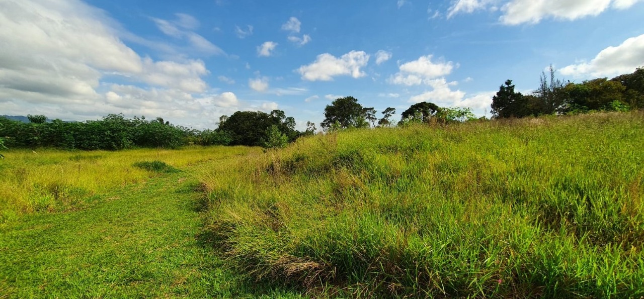 Terreno à venda, 400000m² - Foto 14