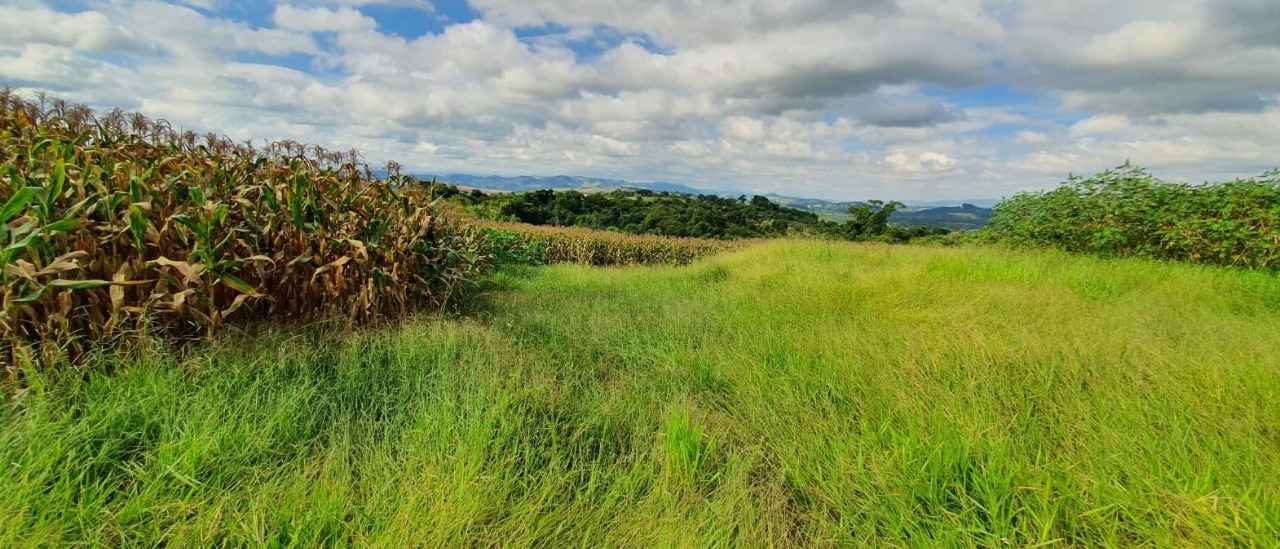 Terreno à venda, 400000m² - Foto 15