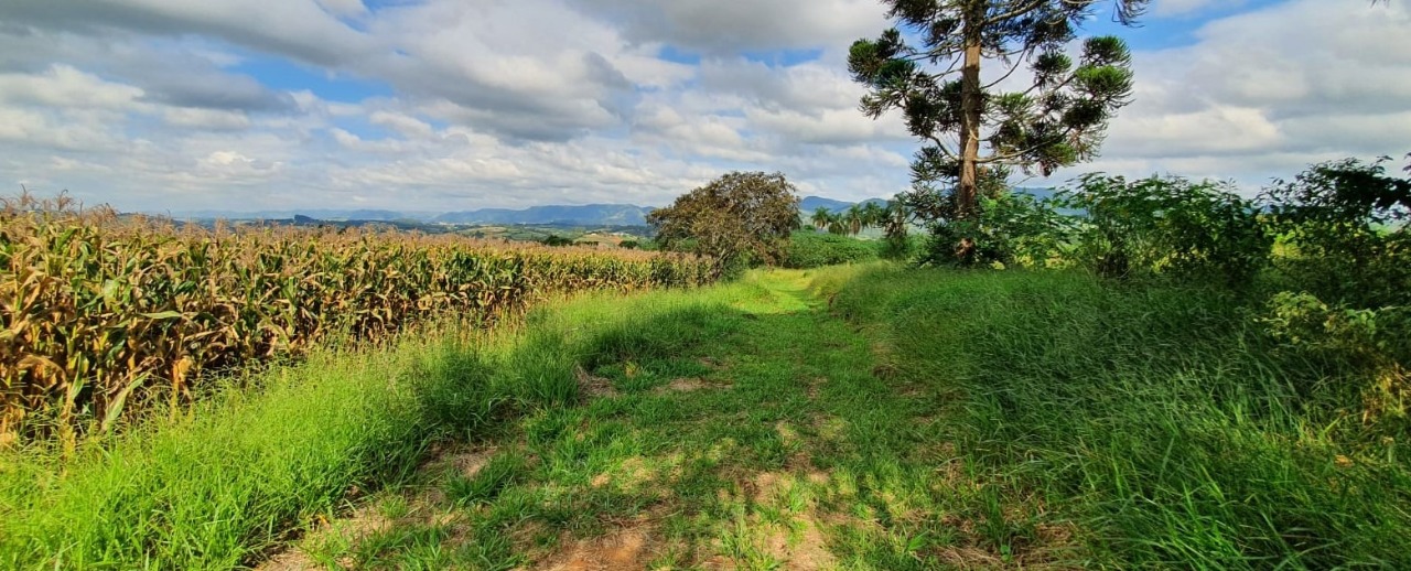 Terreno à venda, 400000m² - Foto 16