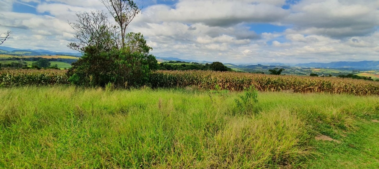 Terreno à venda, 400000m² - Foto 18