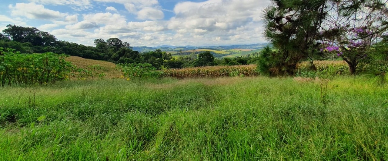 Terreno à venda, 400000m² - Foto 19