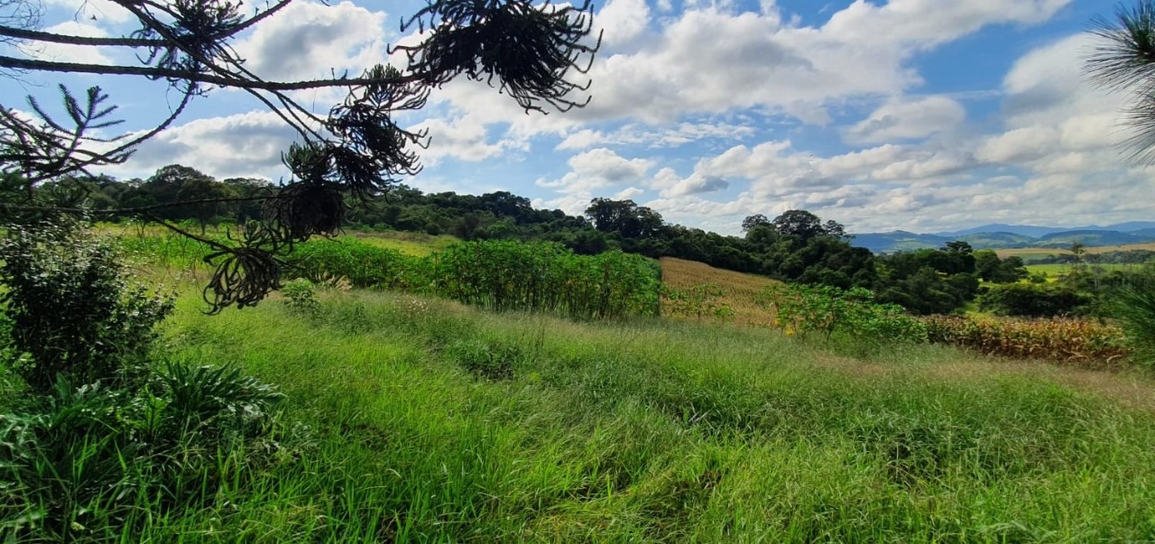 Terreno à venda, 400000m² - Foto 20